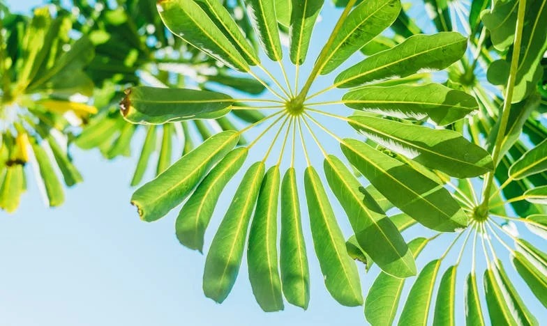 El día que la abuela decidió destapar la verdad