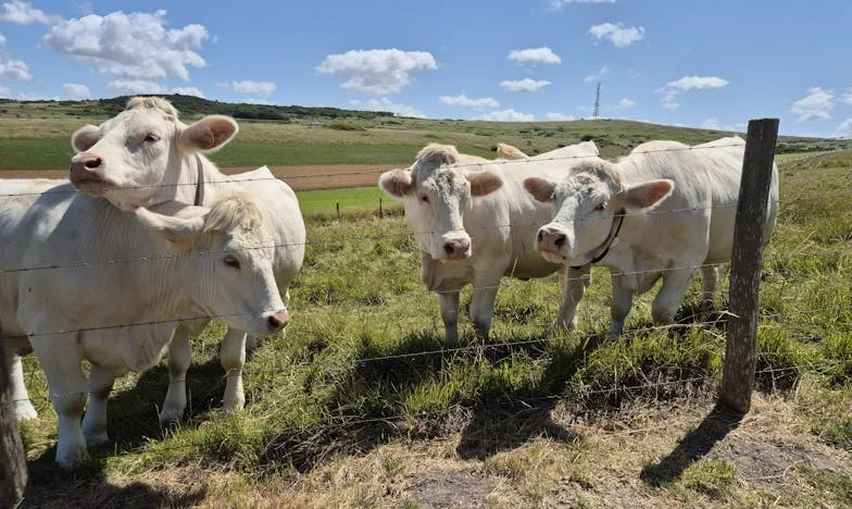 El día que la verdad me rompió: secretos tras treinta años de matrimonio