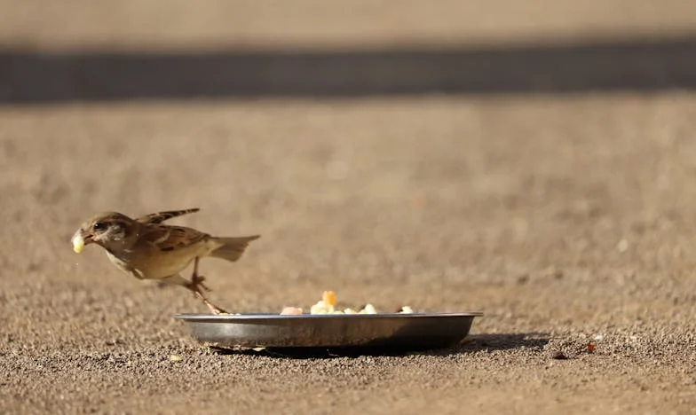 El día que mi confianza se estrelló: Entre el amor y la traición familiar