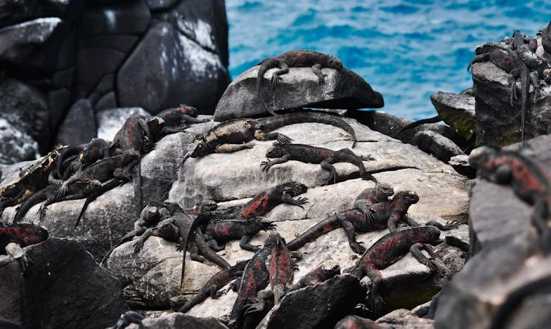 El día que mi hija me prohibió asistir a su boda