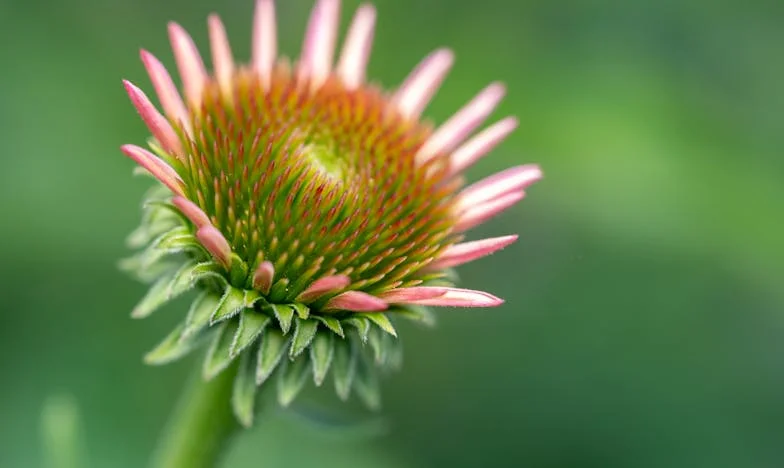 El diario de mi hija: Lo que nunca debí leer