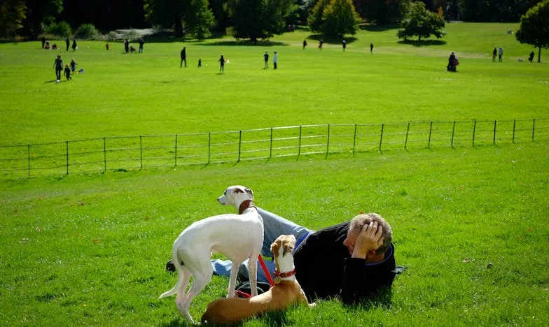 El eco de la lluvia: Una historia de esperanza perdida