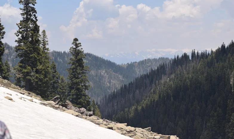 El eco de los recuerdos: una visita que lo cambió todo