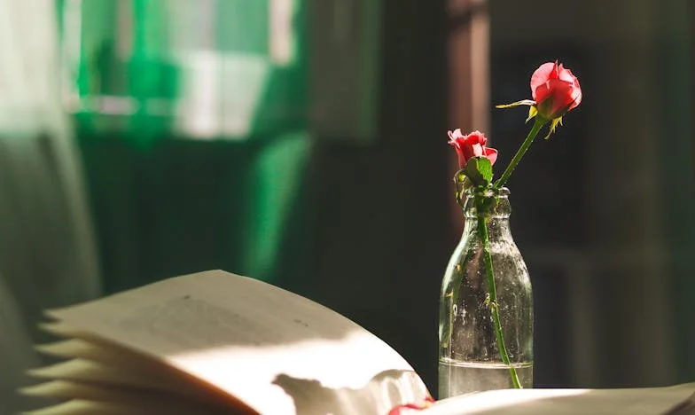 El Espejo Nunca Miente: Mi Viaje Hacia la Belleza Interior