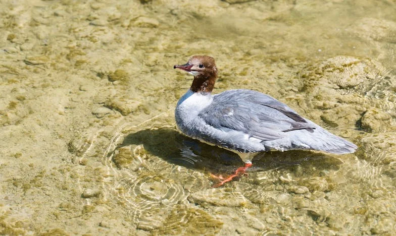El fin de semana que nunca fue mío