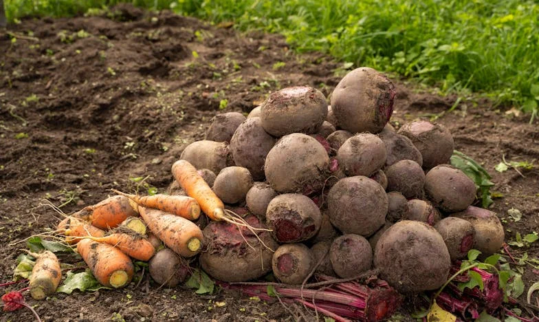 El peso de las palabras calladas