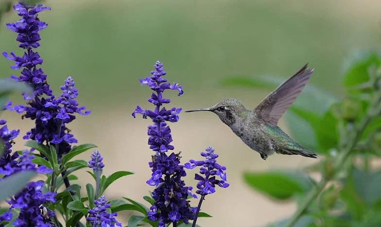 El peso invisible: Confesiones de una madre mexicana