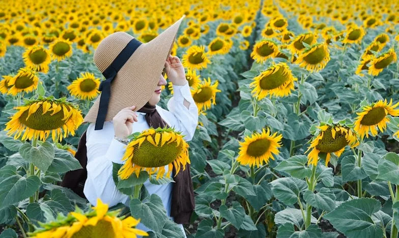 El precio de la armonía: Cuando callar ya no es opción