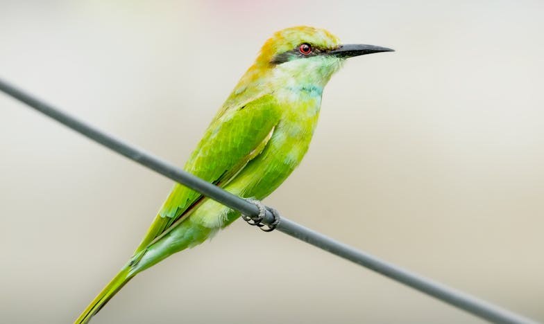 El precio del amor: La boda de mi hija y el regalo que nunca fue suficiente