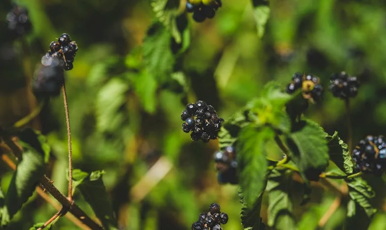 El regreso al amanecer: el sabor amargo de lo que fuimos