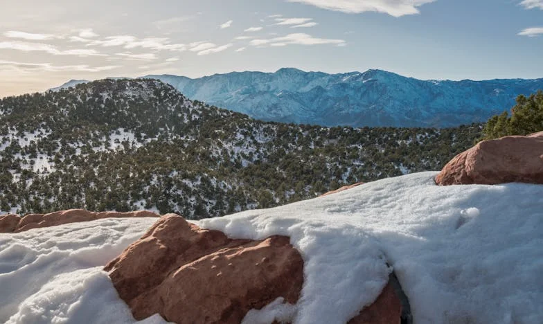 El remedio para la tristeza: La historia de Ludmila y Joaquín