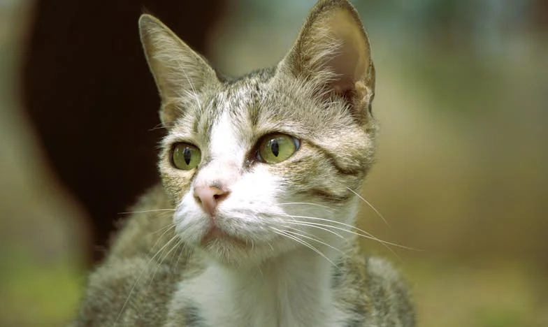 El Secreto de Mi Primer Sueldo: Un Vínculo que el Tiempo No Borra