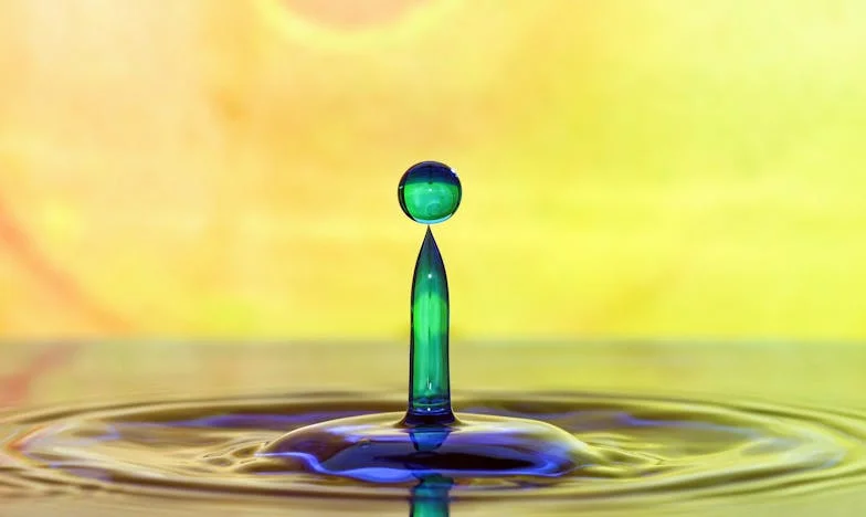 El secreto en la bodega: lo que nunca debí descubrir de mi esposo