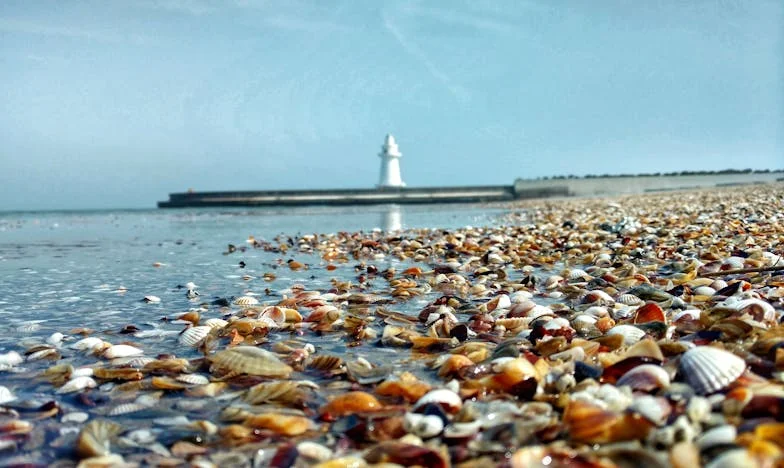 El secreto en la caja de madera