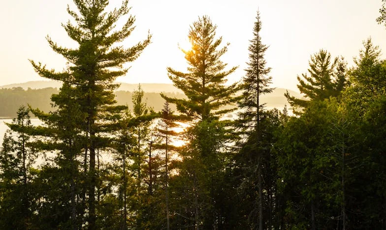 El Silencio de Lucía: Entre el Amor y la Vergüenza