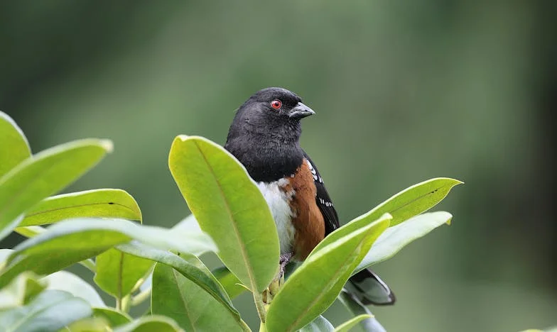 El silencio de mis nietos: una abuela en busca de respuestas