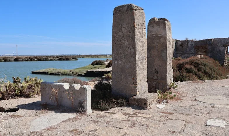 El teléfono que cambió mi vida: una llamada desde el hospital