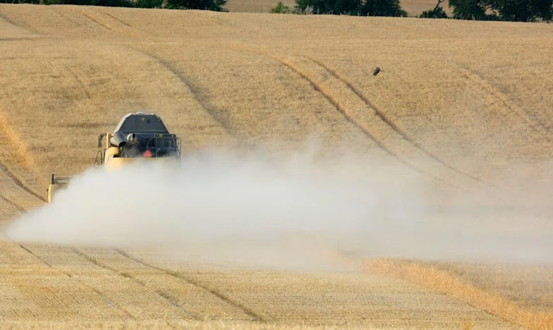El vestido blanco y los secretos de la familia