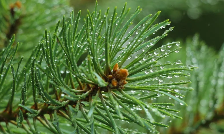 En nombre del amor: La calle de las promesas