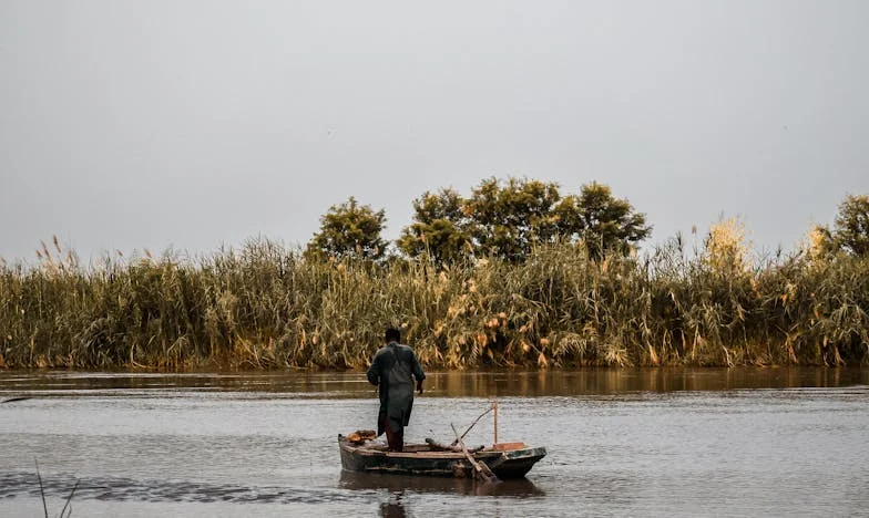 Engaño entre paredes: Cuando la familia duele más que el amor