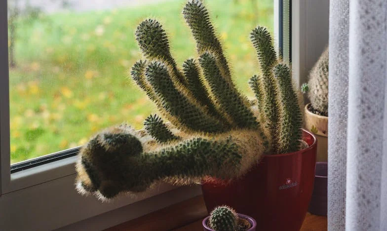 Entre el Silencio y la Esperanza: Mi Fe en Medio de la Tormenta
