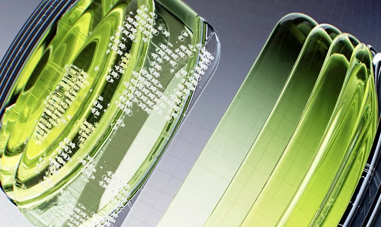 Entre Fuegos Artificiales y Silencios: Un Año Nuevo en Disputa