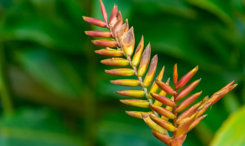 Entre la fe y la deuda: Mi batalla por un hogar digno