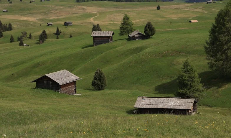 Entre Sombras y Esperanza: La Historia de Mariana y su Suegra