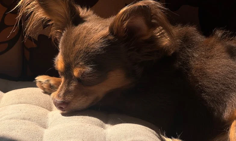 Esperando a Lucía: Entre la Ausencia y la Verdad