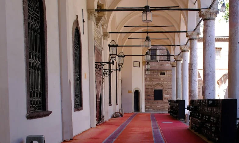 Gritos en la Noche: El Precio de la Convivencia