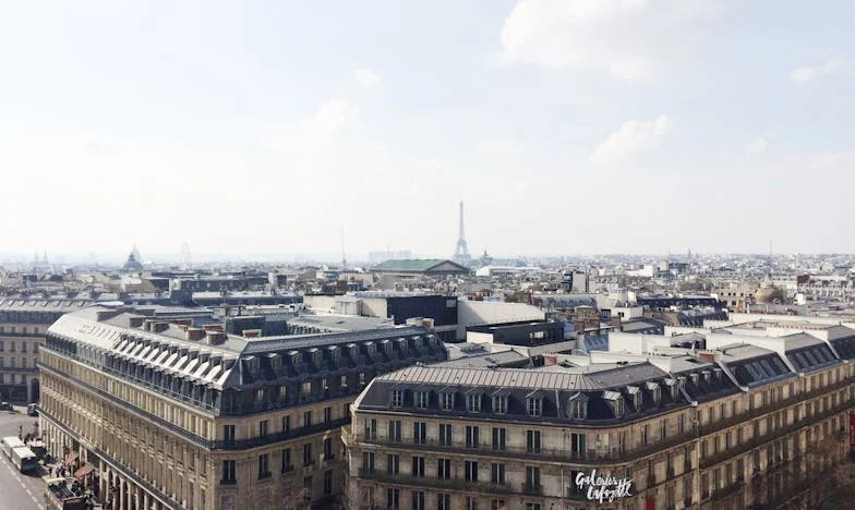 Herencia de Recuerdos: El Viaje de Tomás y la Abuela Rosa