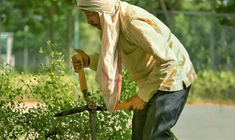 La batalla de Julia: Entre el amor y el silencio