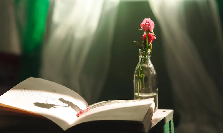 La esquina donde te perdí