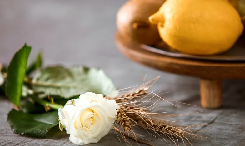 La foto bajo la puerta: secretos en la familia Ramírez