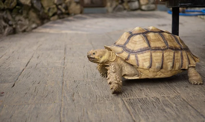 La llamada que lo cambió todo