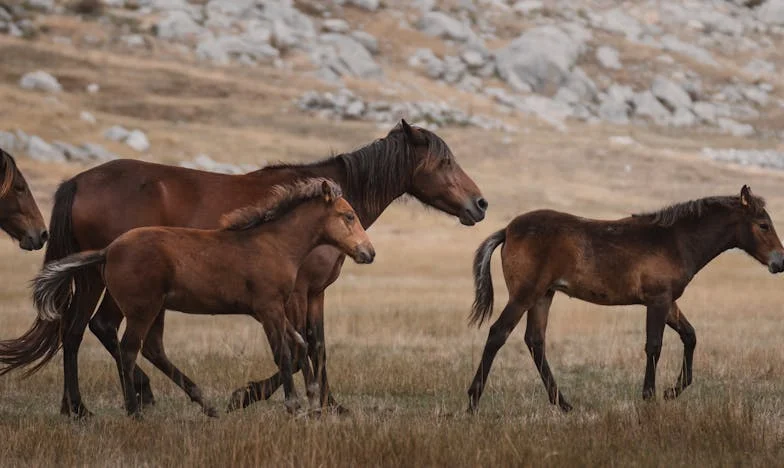 La llave de las dudas