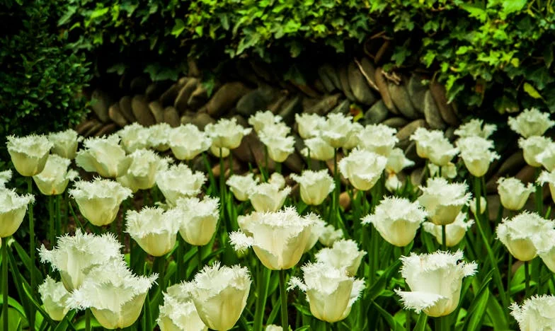 La noche en que Staś tocó mi puerta