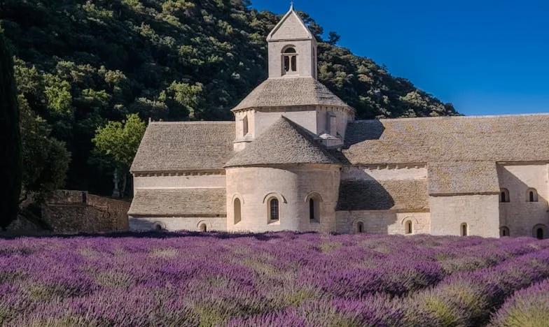 La Prima de Mi Esposo: Un Favor Que Cambió Mi Vida