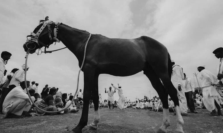 La suegra de blanco: el día que mi boda casi se arruina