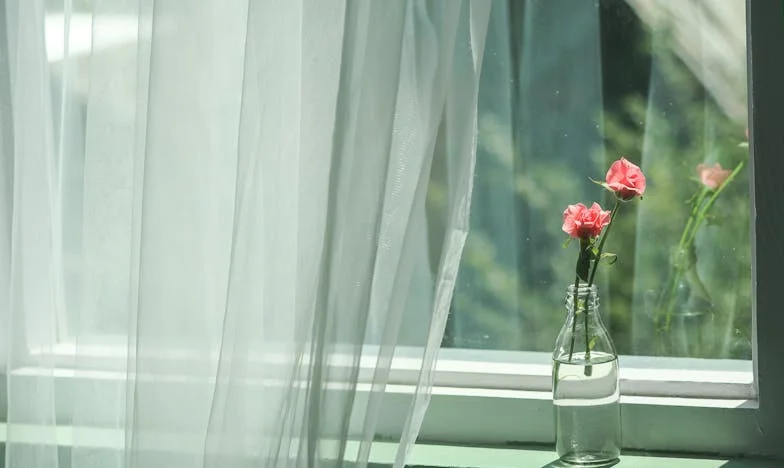 La traición de Renata