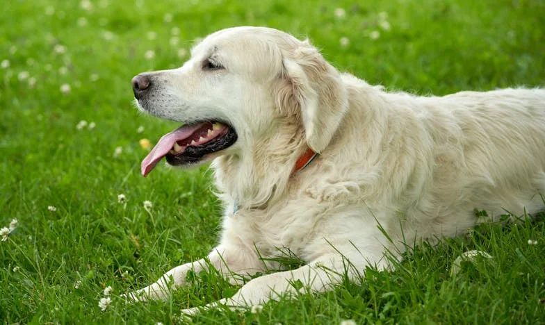 Las Grietas Invisibles: El Viaje de Cristina y Jerónimo Entre Expectativas y Realidad