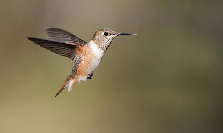 Las huellas de Mariana: entre el abandono y la esperanza