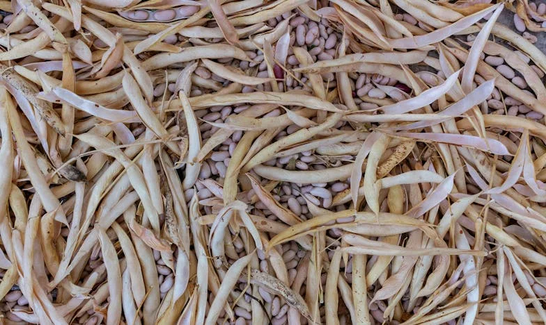 Lo que encontré en la mochila de mi hijo lo cambió todo