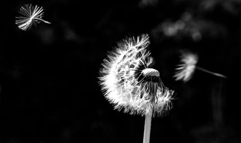 Lo que me faltaba...