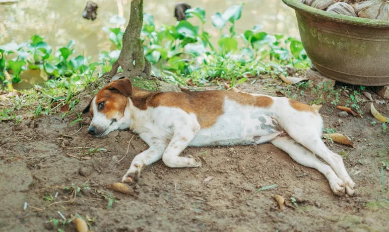 No vuelvas más, mamá: el día que mi hijo me cerró la puerta
