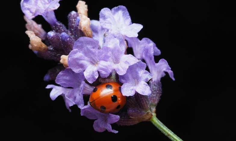 Nunca volverás a ver a tus nietos: el día que mi familia se rompió