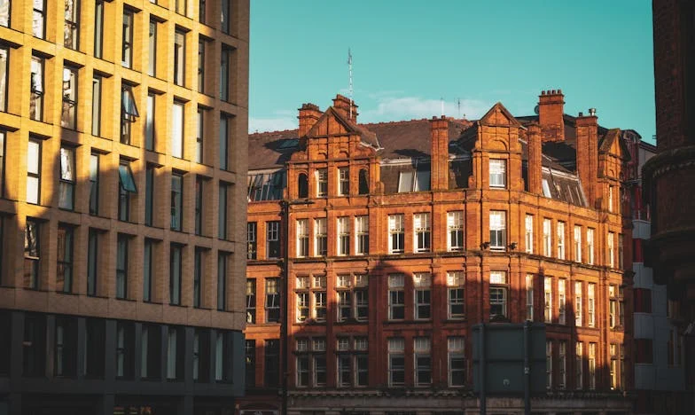 Pensé que mi vida era tranquila a los 64 años... hasta que mi perro trajo un caballo con un pasado oculto