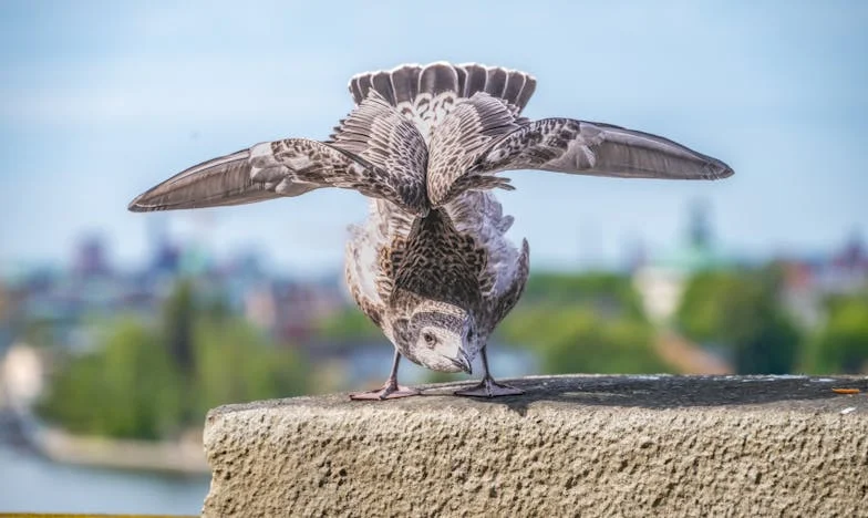 Promesas Rotos: Entre las Ruinas de Mi Hogar y Mis Sueños