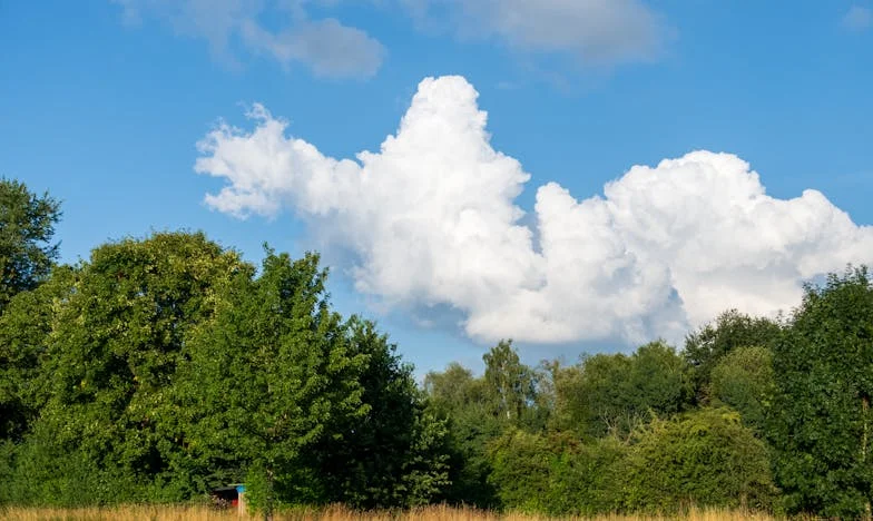 Puertas que nunca volveré a abrir