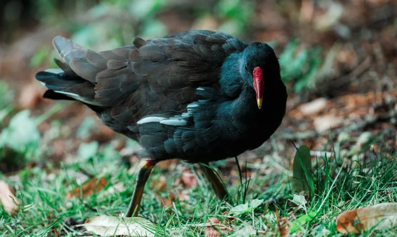Rompiendo cadenas: El despertar de una hija